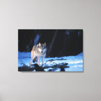 loup gris, Canis lupus, dans les contreforts