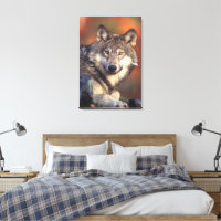 Loup gris enveloppé