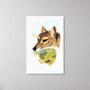 Toile Loup ou tigre tasmanien