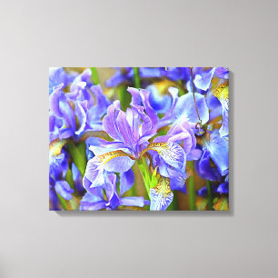 Toile Lovely Purple Irises en mai