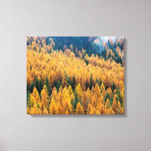 Toile Lumière du matin sur la plage   Île Tybee