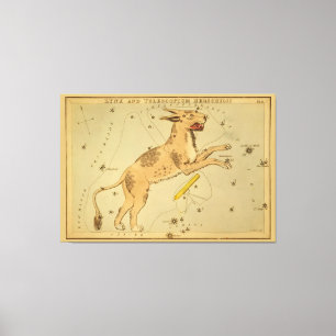 Toile Lynx - Image de la carte astronomique Vintage