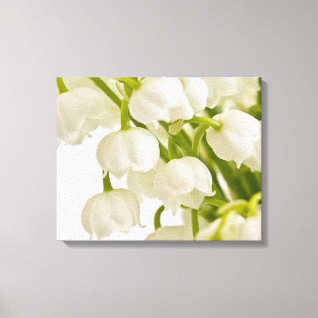Toile Lys blancs (Recto)