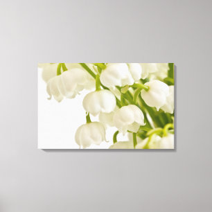 Toile Lys blancs