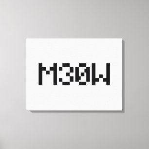 Toile M30W [Sons animaux de léopards]