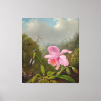 M. HEADE - Combattre les colibris avec des orchidé