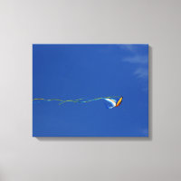 Macaw Kite