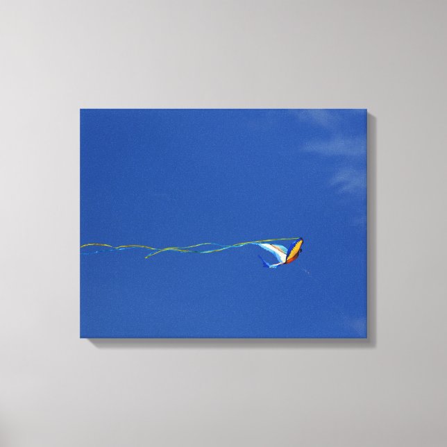 Toile Macaw Kite (Recto)