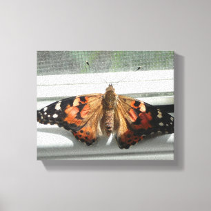 Toile Madame peinte Butterfly Wrapped Canvas
