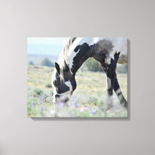 Toile Maestro étirée 20 x 16