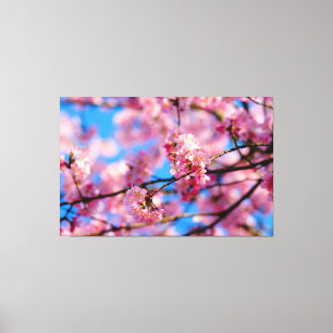 Toile Magnifique rose Sakura et ciel bleu du printemps