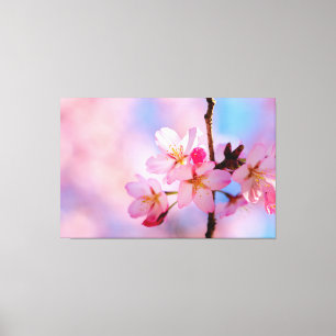 Toile Magnifiques fleurs de Sakura sur une brindille ver