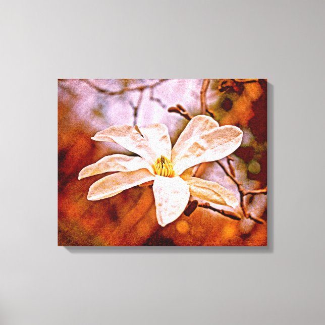 Toile Magnolia (Recto)