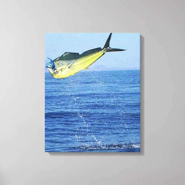 TOILE MAHI MAHI (Recto)
