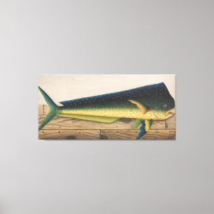 Toile Mahi-Mahi Fish artwork