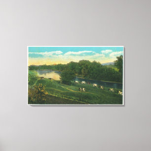 Toile MaineView des vaches vers la maison liées