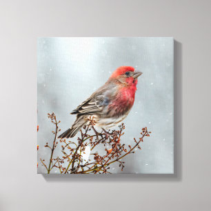 Toile Maison Finch en Neige - Photo originale