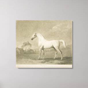 Toile Mambrino, après George Stubbs, 1788 (mezzotinto)