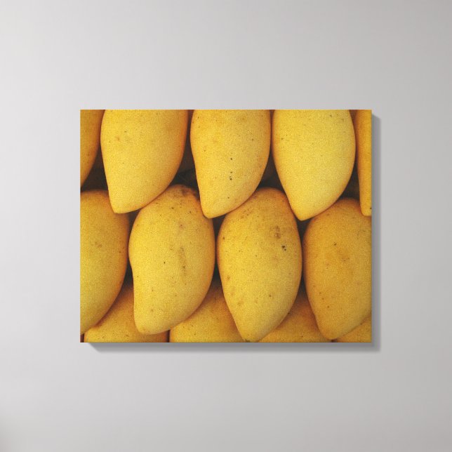 Toile Mango (Recto)