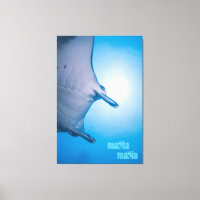 Manta