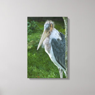 Toile Marabou