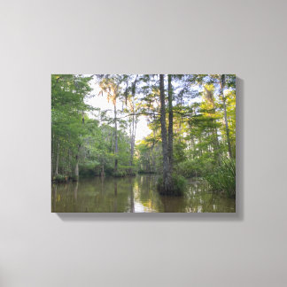 Toile Marais de Louisiane