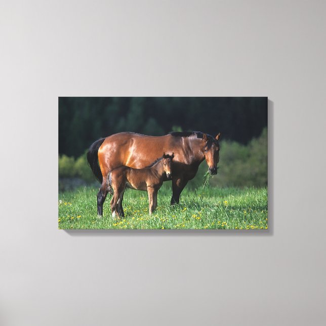 Toile Mare et Foie de Thoroughbred 1 (Recto)