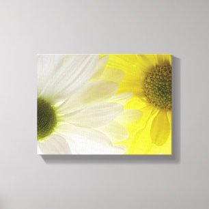 Toile Marguerites jaunes et blanches