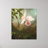 MARTIN JOHNSON HEADE - Orchidées - 1873 -
