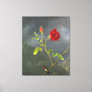 Toile MARTIN JOHNSON HEADE - Rose rouge avec gorge rubis