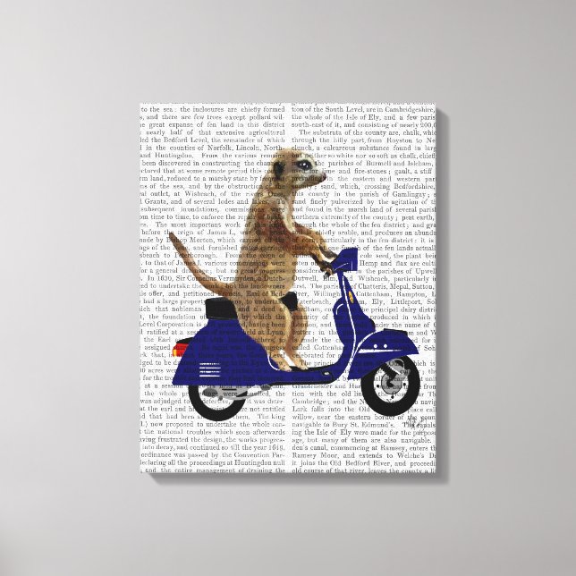 Toile Meerkat sur Dark Blue Moped (Recto)