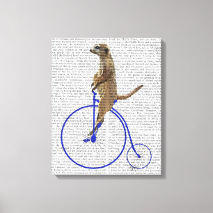 Toile Meerkat sur le quart de penny bleu de penny