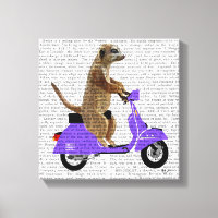 Meerkat sur Lilac Moped