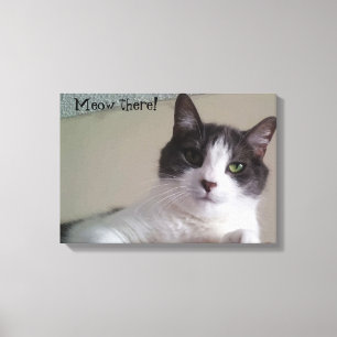 Toile Meow, là-bas magnifique Portrait de chats de Kitt