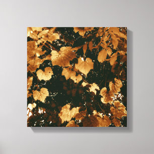Toile Mes beaux feuilles d'automne