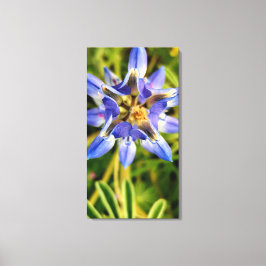 Toile mesmerising flower aerial spring flora collection