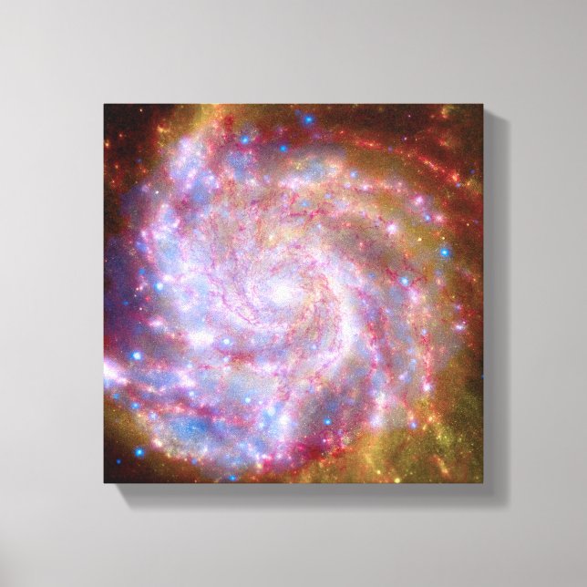 Toile Messier 101 Spiral Galaxy - Télescope Hubble Photo (Recto)