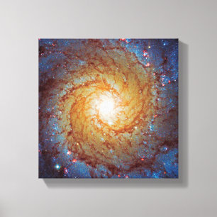 Toile Messier 74 Galaxie Spirale Photo Espace