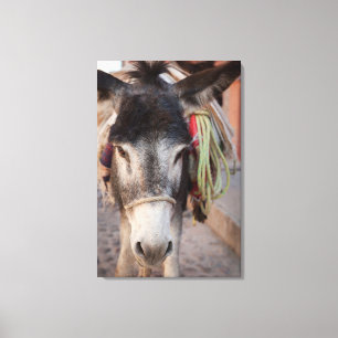 Toile Mexique, San Miguel De Allende 2