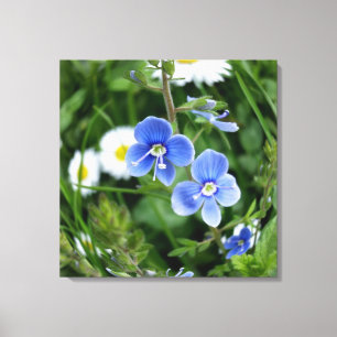 Toile minuscules fleurs bleues