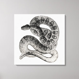 Toile Modèle de serpent de dressage vintage