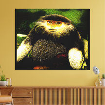 Modèles Primate : Douc à rayures rouges 01