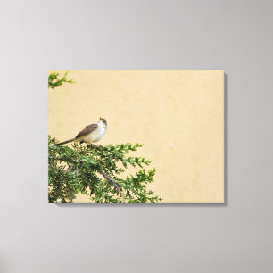 Toile Moineau