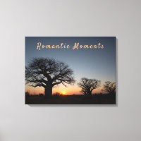 Moment romantique au coucher du soleil Sacré Baoba
