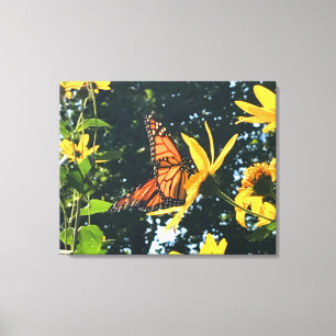 Toile Monarch Butterfly on Flower Photographe 