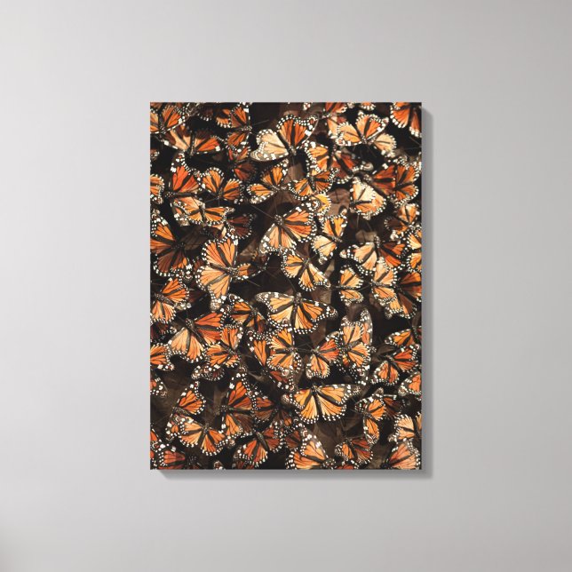 Toile Monarque Butterflies (Recto)