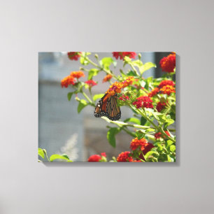 Toile Monarque papillon sur Buddleia rouge