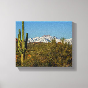 Toile Montagnes couvertes de neige Saguaro Cactus Arizon