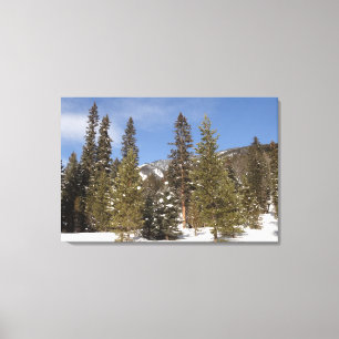 Toile Montana Mountain Trails in Winter Landcape Photo