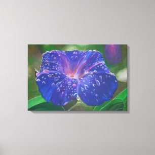 Toile Morning Glory (Ipomoea Purpurea) Petals et Dew Dr.